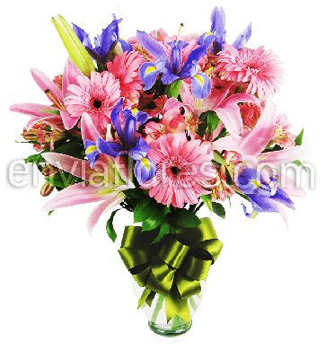 Combinado con 5 Gerberas Rosas, 5 Iris, 10 Alstroemerias y 2 Stargazer en Jarrón 