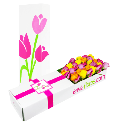 24 Rosas Multicolor en Caja Premium