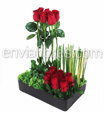Jardín de 12 Rosas Rojas en Base