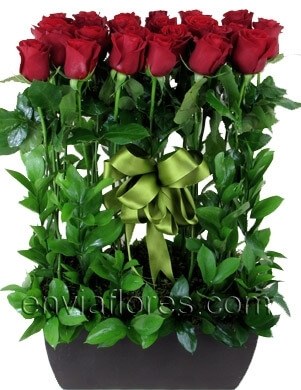 Jardinera de 24 Rosas Rojas