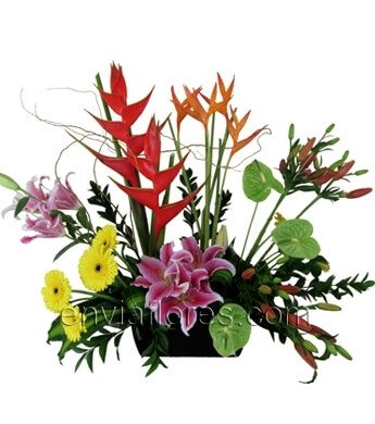 2 Heliconias, 5 Lilys, 3 Anturios, 3 Stargeizer, 5 Gerberas, 3 Ave de Paraíso y Follaje en jardinera.