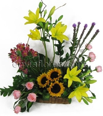 8 Rosas, 4 Lilys, 3 Girasoles, 5 Leatriz, 10 Alstroemeria y Follaje.