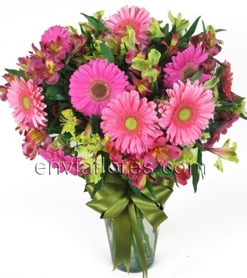 10 Gerberas y Alstroemerias en Jarrón.