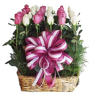 Canasta Bicolor con 24 Rosas.