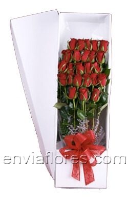 24 Rosas Rojas en Caja.