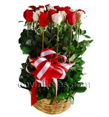 Canasta con 12 Rosas Rojas y 12 Rosas Blancas.