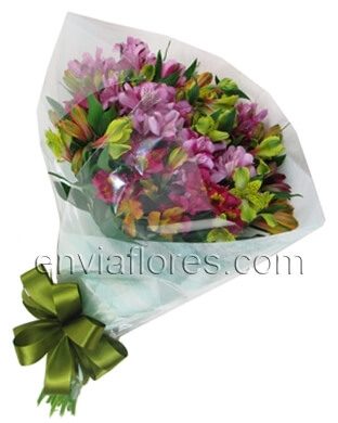 40 Alstroemerias en Celofán.