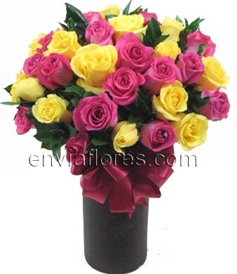 24 Rosas Amarillas y Rosa Intenso en cilindro