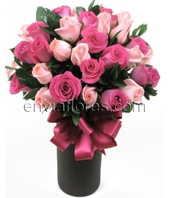 24 Rosas Rosa Intenso y Rosas en Cilindro