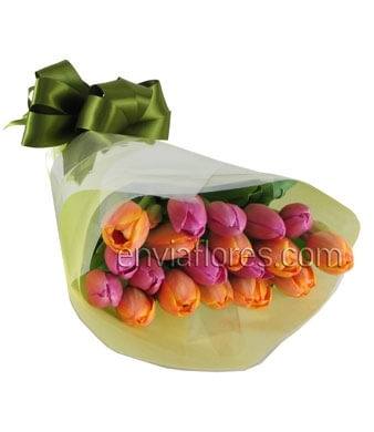 20 Tulipanes en Celofán.