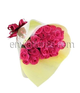 24 Rosas Rosa Intenso en Celofán