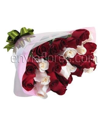 24 Rosas Rojas y Blancas en Celofán