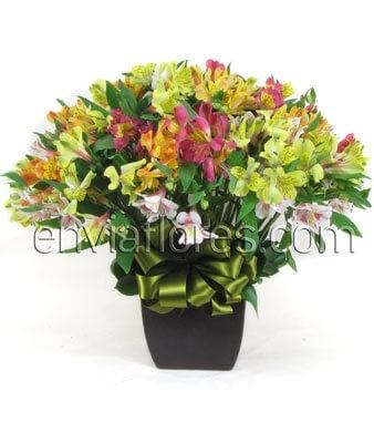 Bouquet de 40 Alstroemerias de Colores y Follaje en Base