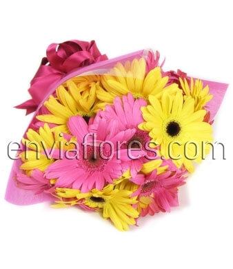 20 Gerberas en Celofán.