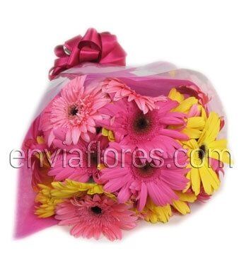 30 Gerberas en Celofán.