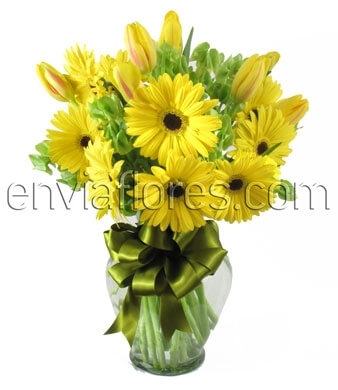 20 Gerberas y 10 Tulipanes Amarillos en Jarrón