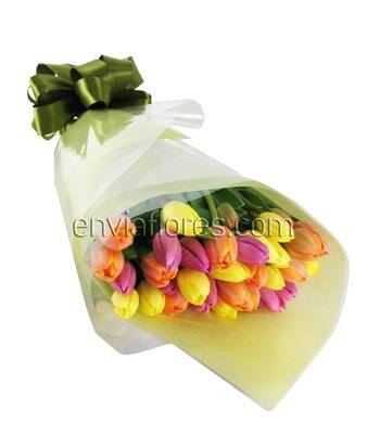40 Tulipanes en Celofán.