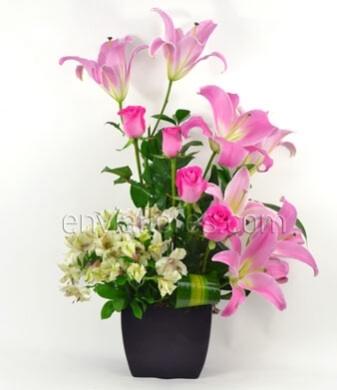 3 Stargazer, 4 Rosas y Alstroemerias en Base. 