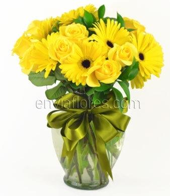 12 Rosas Amarillas con 10 Gerberas Amarillas en Jarrón.