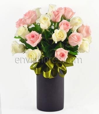 24 Rosas Blancas y Rosas en Cilindro 