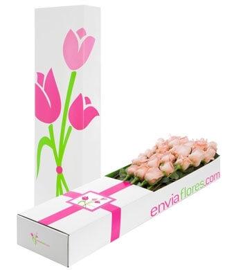 12 Rosas Rosa Claro en Caja Premium