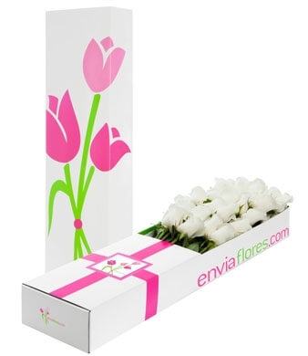 36 Rosas Blancas en Caja Premium
