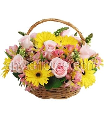 Canasta 12 Rosas Rosas, Gerberas y Alstroemerias