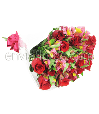 24 Rosas Rojas y Alstroemeria en Celofán.