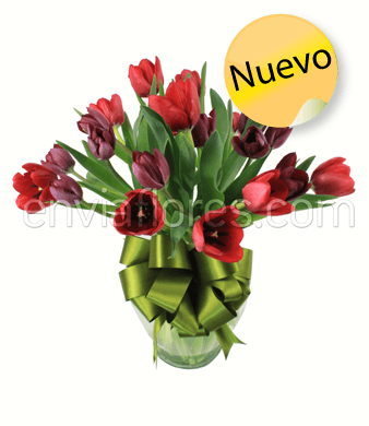 20 Tulipanes Rojos y Morados en Jarrón
