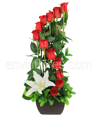 Espiral de 12 Rosas Rojas en Base