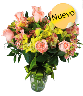 12 Rosas rosas y 20 Alstroemerias en Jarrón