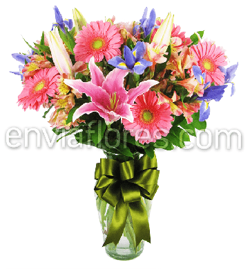 Combinado con 10 Gerberas Rosas, 10 Iris, 10 Alstroemerias y 4 Stargazer en Jarrón
