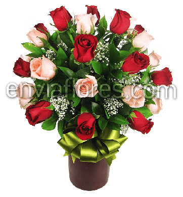 24 Rosas Rojas y Rosas con Follaje en Cilindro