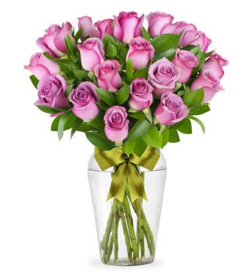 24 Rosas Lilas