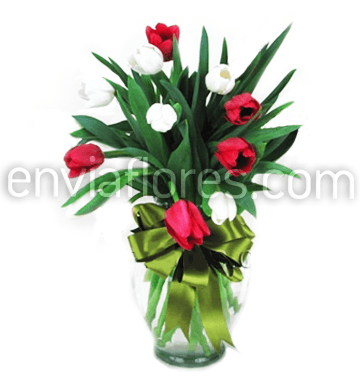 10 Tulipanes Rojos y Blancos en Jarrón