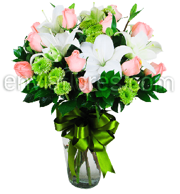 12 Rosas Rosas, 5 Lilies Blancas y Margarita Verde en Jarrón