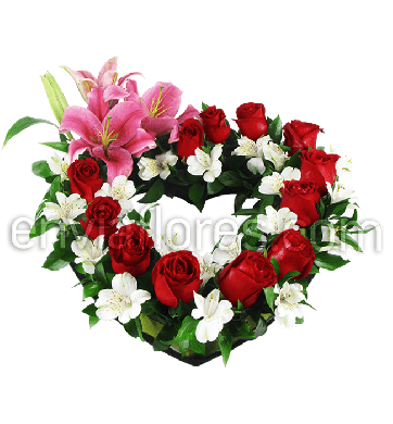 Silueta de Corazón con 12 Rosas Rojas y Stargazer.
