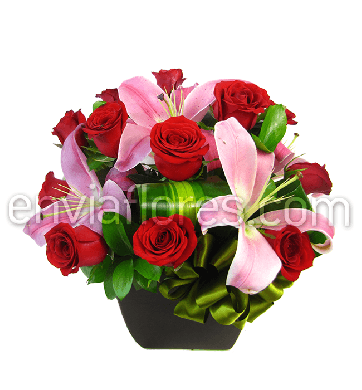 12 Rosas Rojas y 3 Stargazer a Nivel en Base