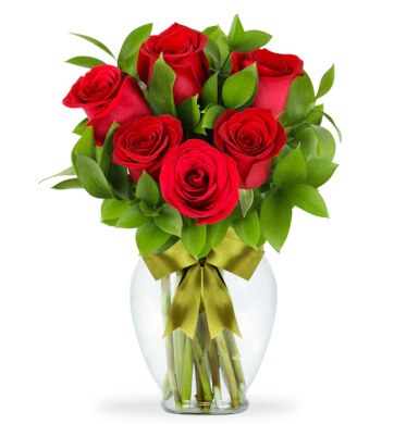6 Rosas Rojas