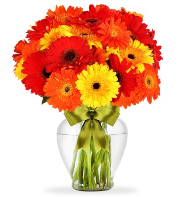 Arreglo de Flores Gerberas Otoñales