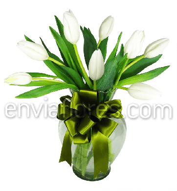 10 Tulipanes Blancos en Jarrón