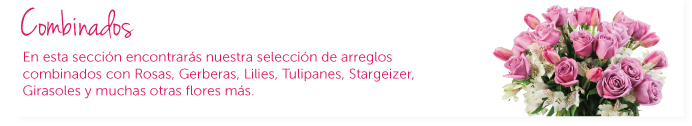 Combinados. En esta sección encontrarás nuestra selección de arreglos combinados con Rosas, Gerberas, Lilies, Tulipanes, Stargeizer, Girasoles y muchas otras flores más.