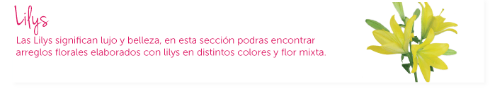 Las Lilys significan lujo y belleza, en esta sección podras encontrar arreglos florales elaborados con lilys en distintos colores y flor mixta.