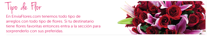 Tipo de Flor. En esta Sección podras consultar los Arreglos por Tipo de Flor.