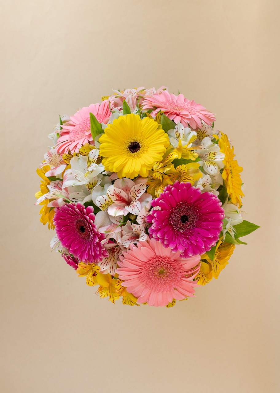 Imagen para 10 Gerberas Multicolor en Jarrón - 3