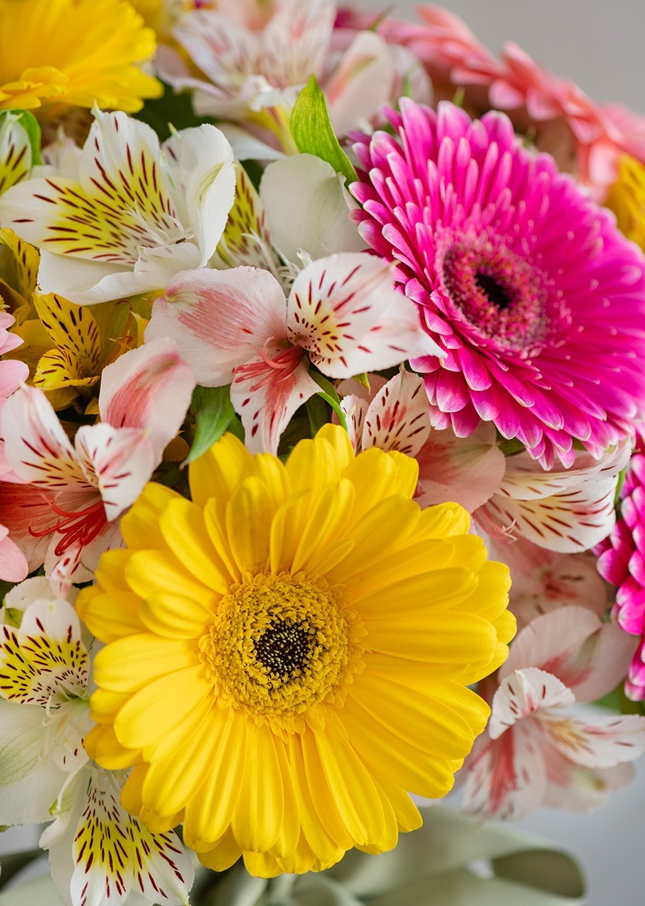 Imagen para 10 Gerberas Multicolor en Jarrón - 4