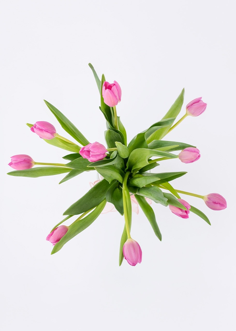 Imagen para 10 Tulipanes Fucsia en Jarrón - 3