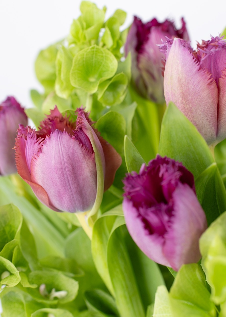 Imagen para 10 Tulipanes Morados en Jarrón - 4