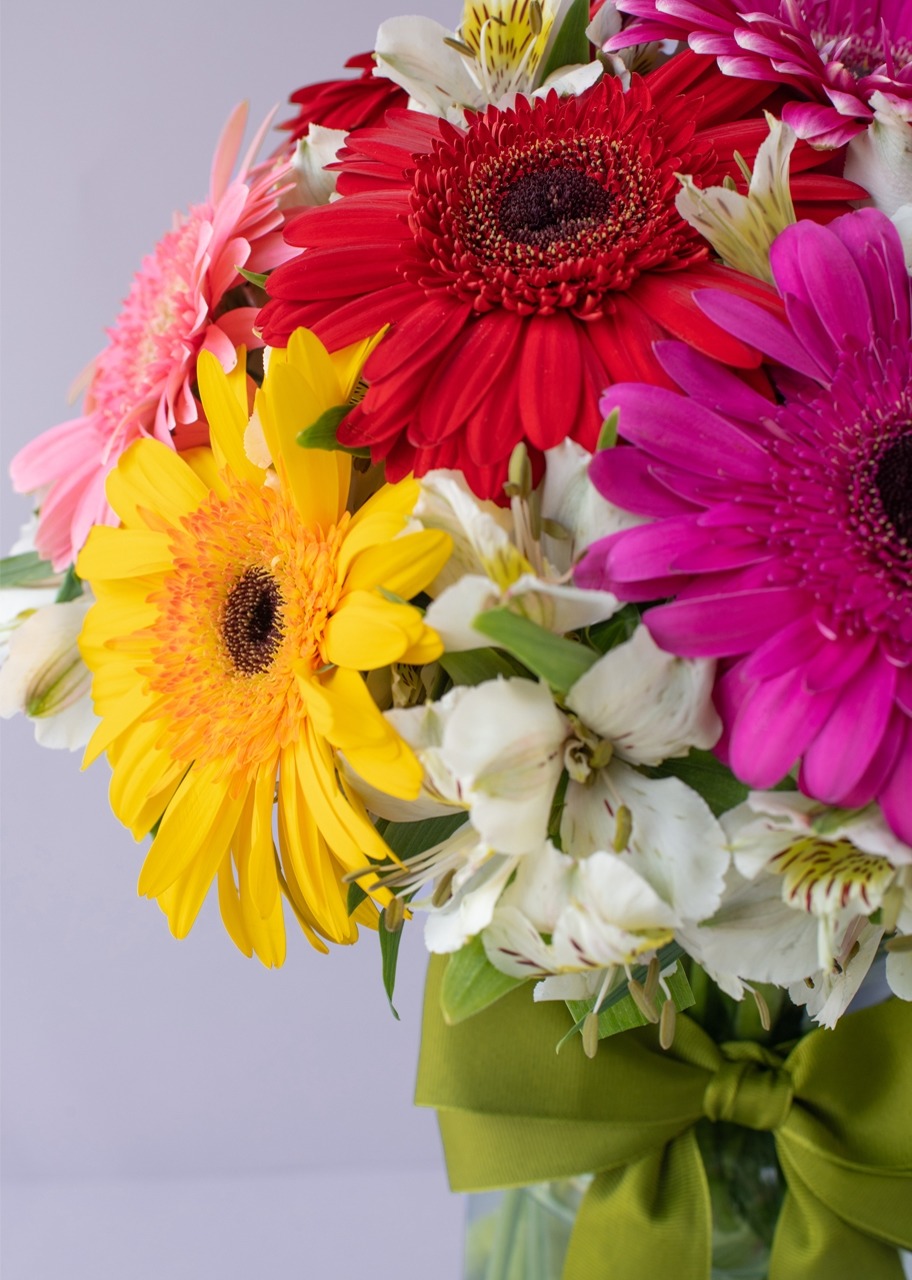Imagen para 10 Gerberas Coloridas en jarrón - 3