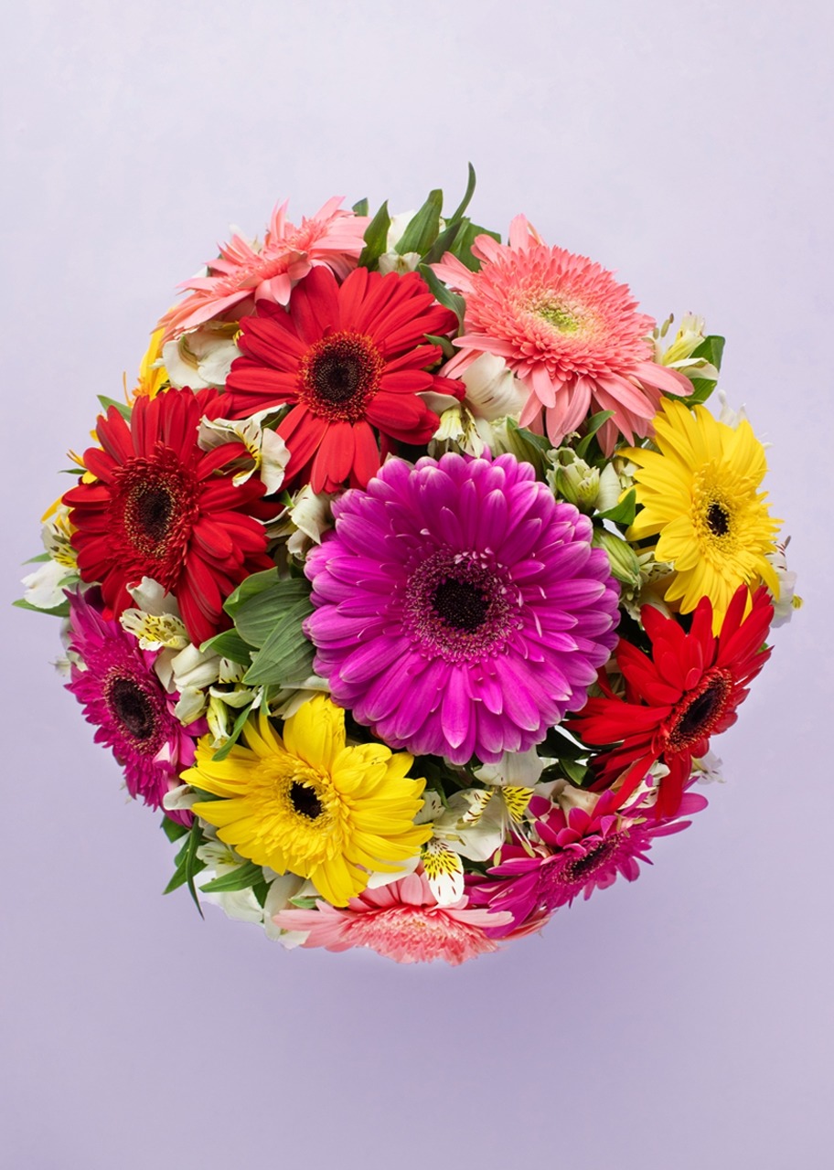 Imagen para 10 Gerberas Coloridas en jarrón - 2